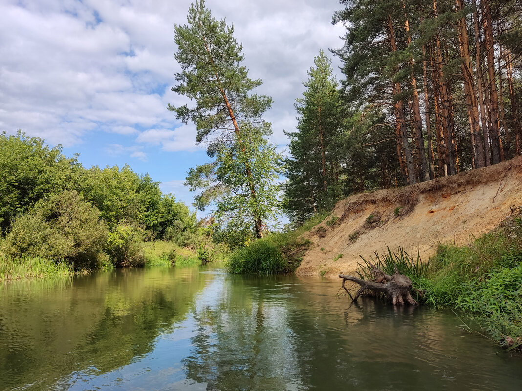 Река Киржач :: Денис Бочкарёв – Социальная сеть ФотоКто