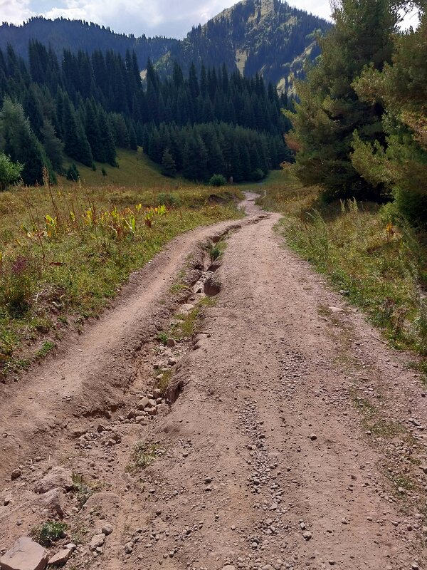 Almaty. - Murat Bukaev 