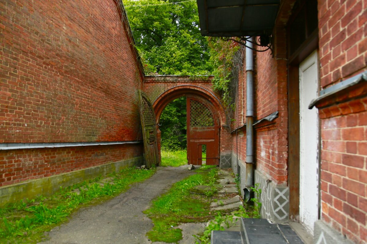 Старые ворота в саду - Танзиля Завьялова