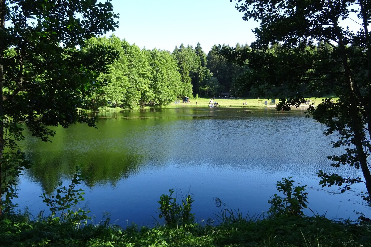 Озеро Литовка - PRP 