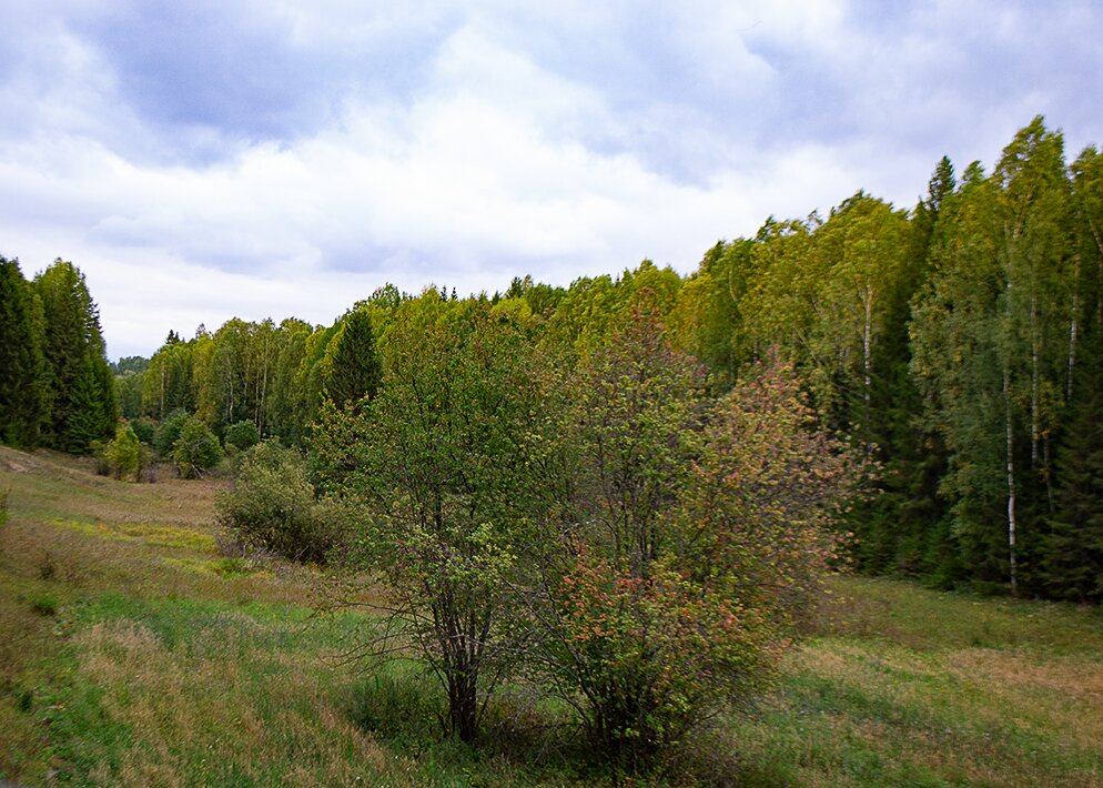 *** - Светлана Кузнецова