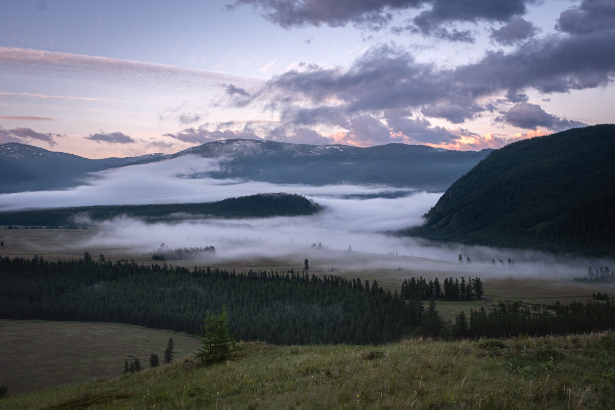 Алтай. Утренний туман в долине реки Аргут - Galina 
