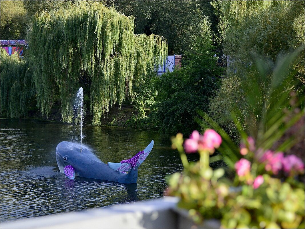 Рыба-кит  в реке - Сеня Белгородский