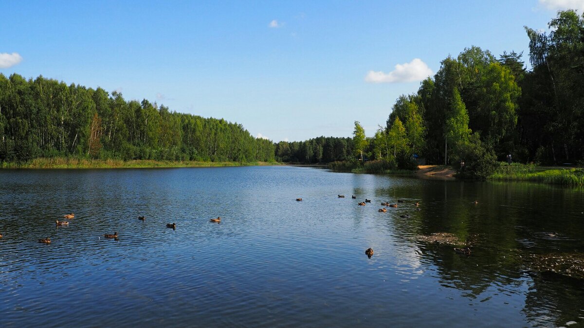 Озеро в пригороде Смоленска - Милешкин Владимир Алексеевич 