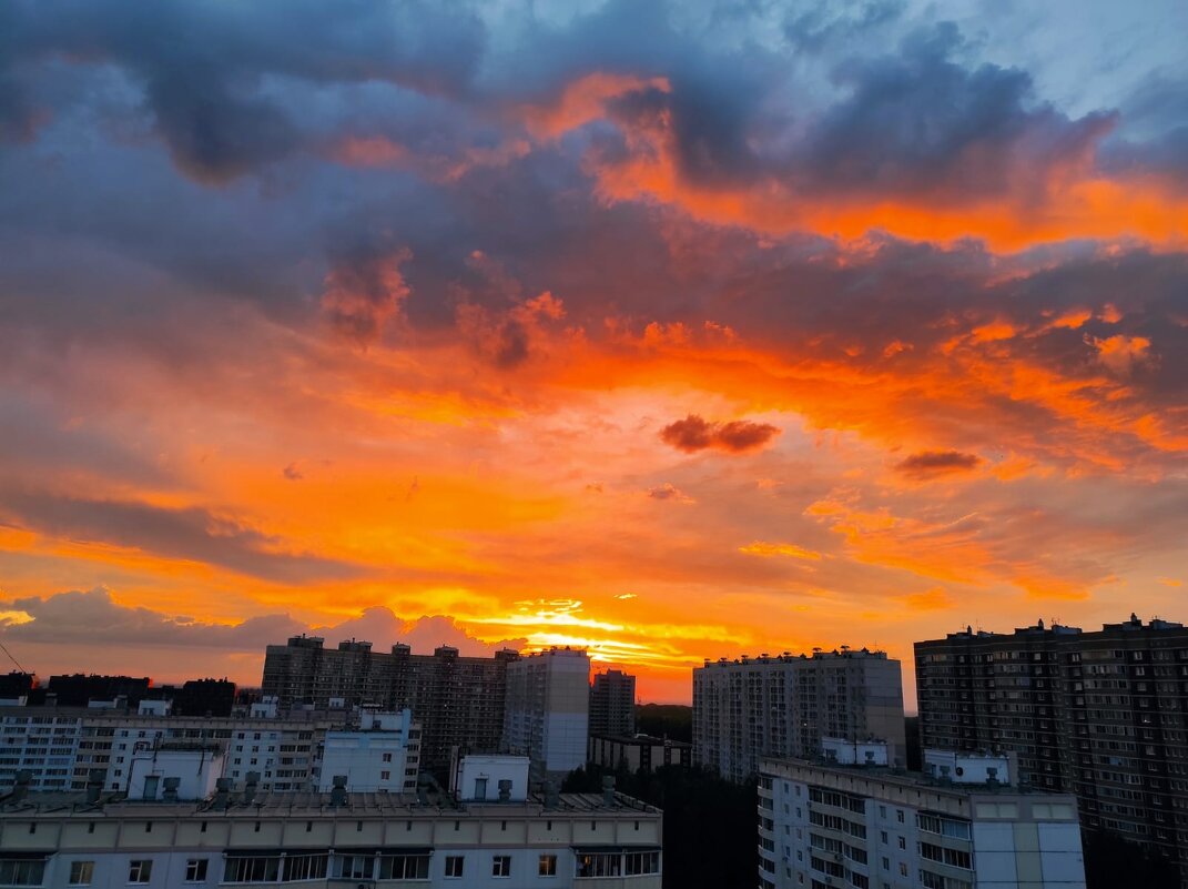 Закат над городом. - Светлана Хращевская