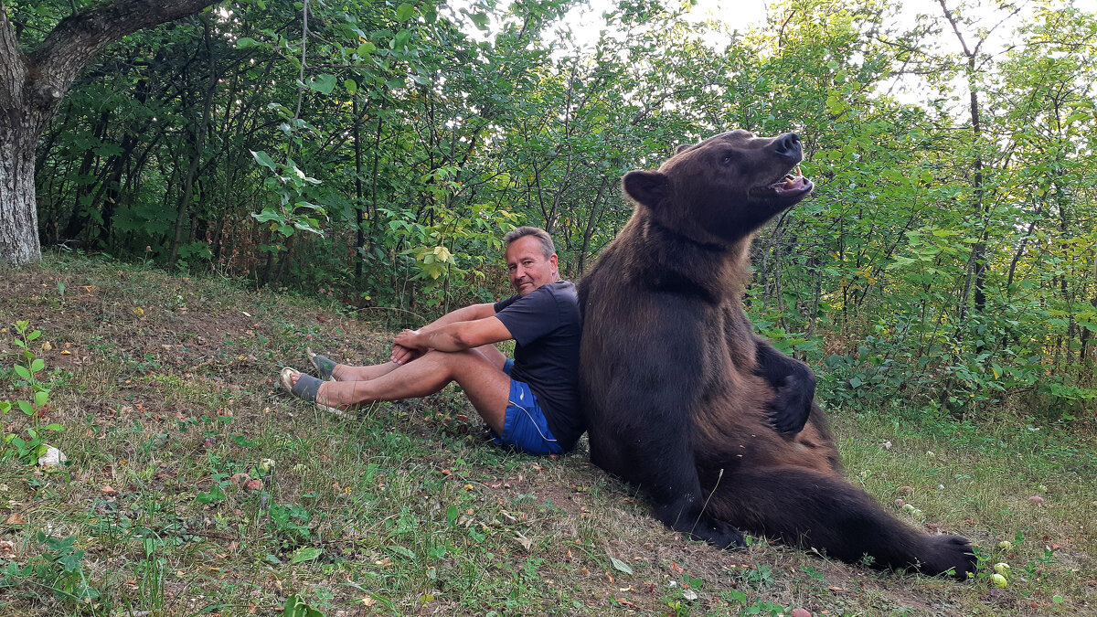 Я и медведь Том у меня на даче - Владимир Виттих