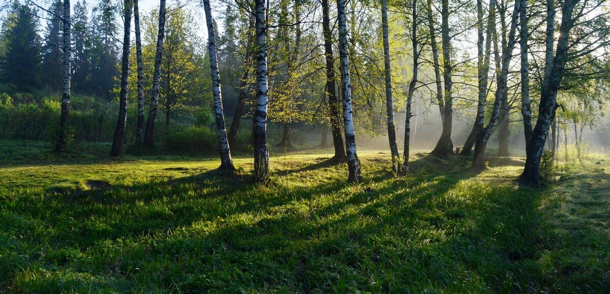 В парке весеннем..... - Юрий Цыплятников