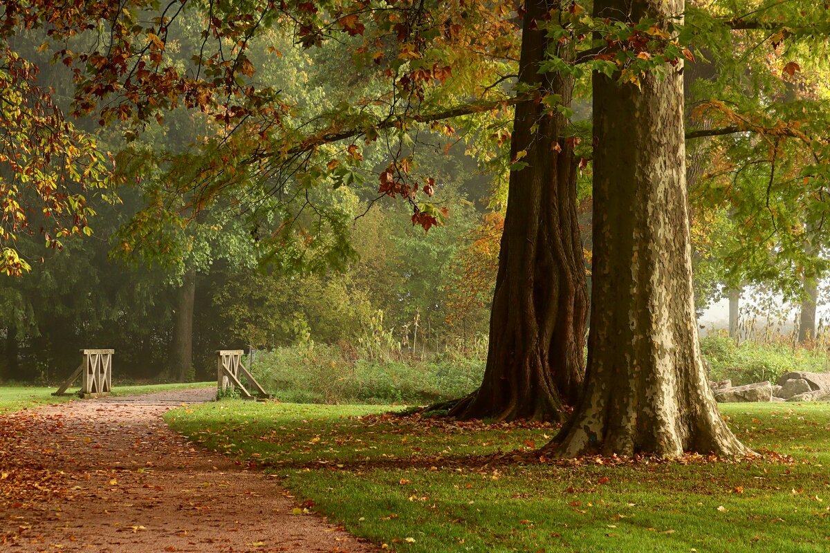 Осень гуляет в задумчивом парке, жёлтую с клёнов срывая листву - Юрий. Шмаков