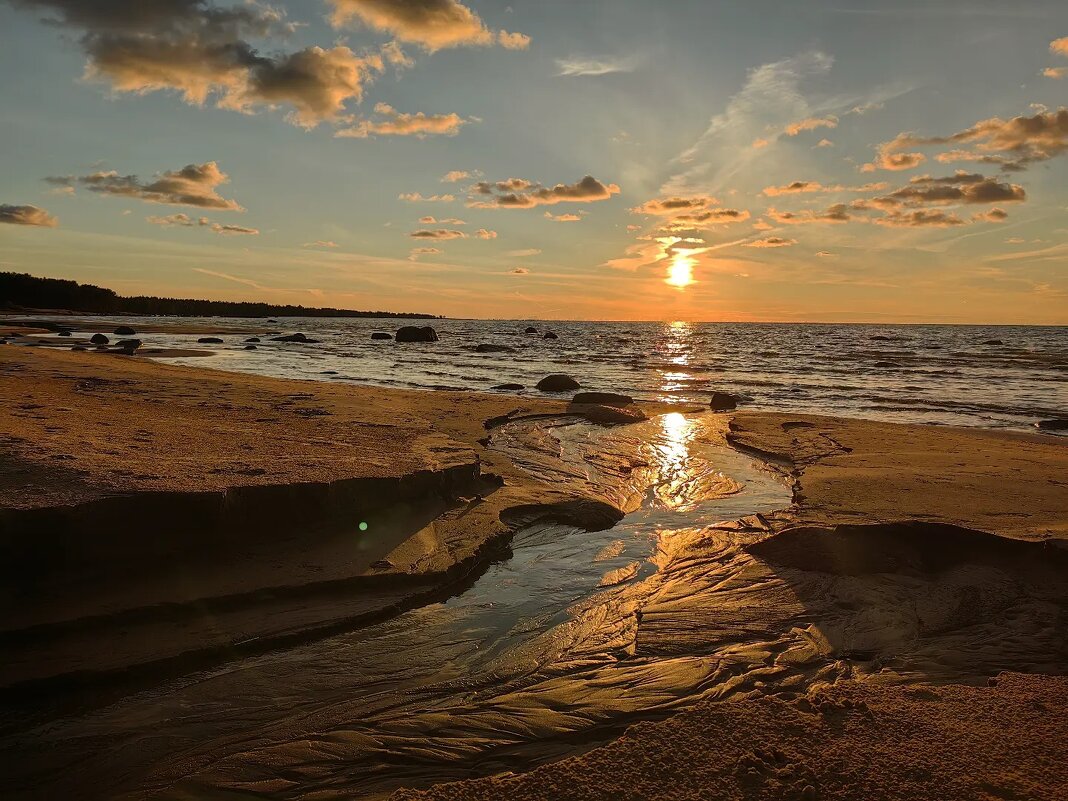 Балтийский берег на закате - Vasiliy V. Rechevskiy