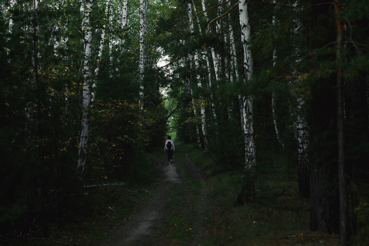 В тёмно-синем лесу - Сергей Царёв
