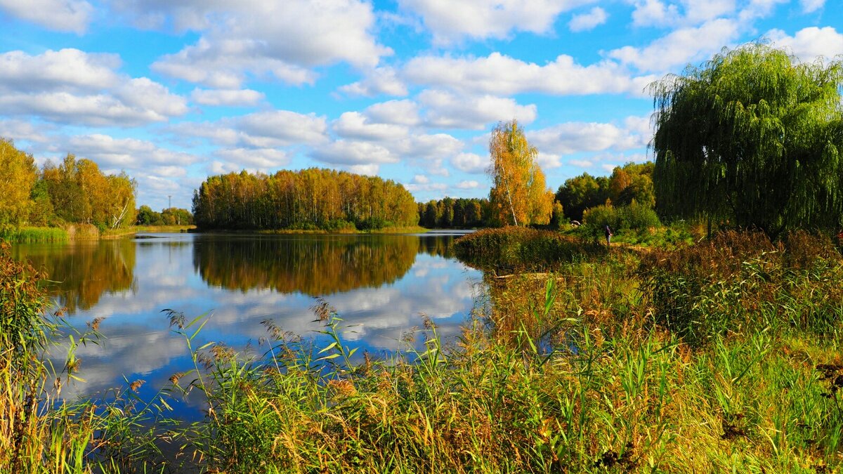 Осенняя красота природы. - Милешкин Владимир Алексеевич 