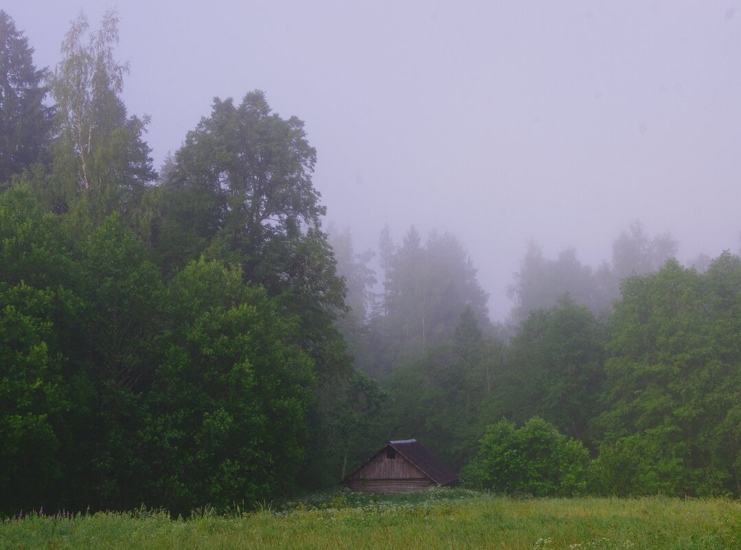 Туман конца июня... - Юрий Куликов