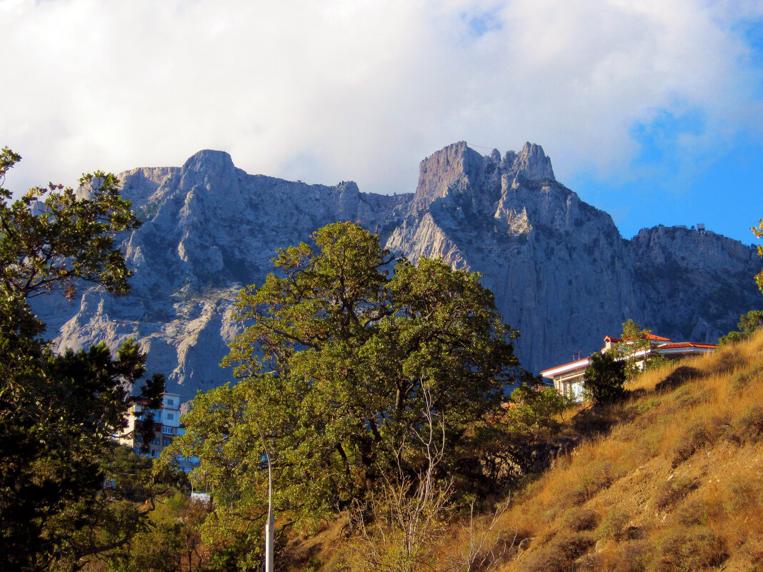 осенью в Крыму - Ольга 