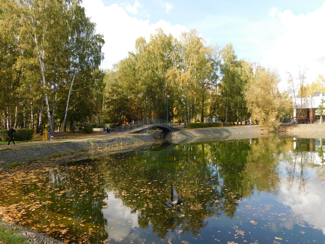 Осень в парке Урицкого - Наиля 