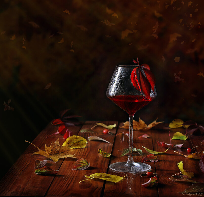 вино из осени - Сергей Бойцов