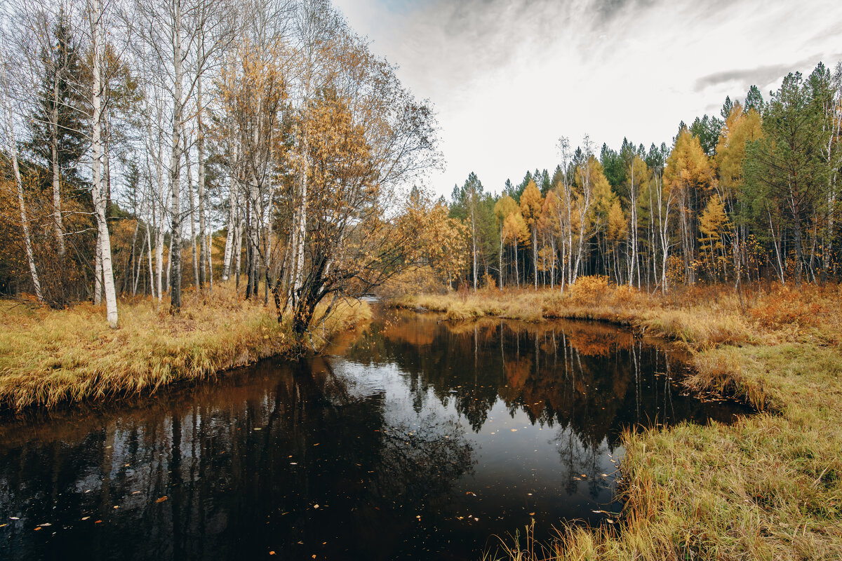 Осенняя песнь - Станислав Брисач