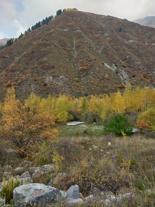 Almaty. - Murat Bukaev 