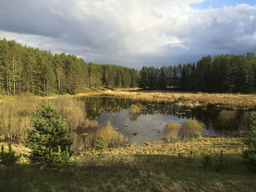 На Псковщине - Наталья 