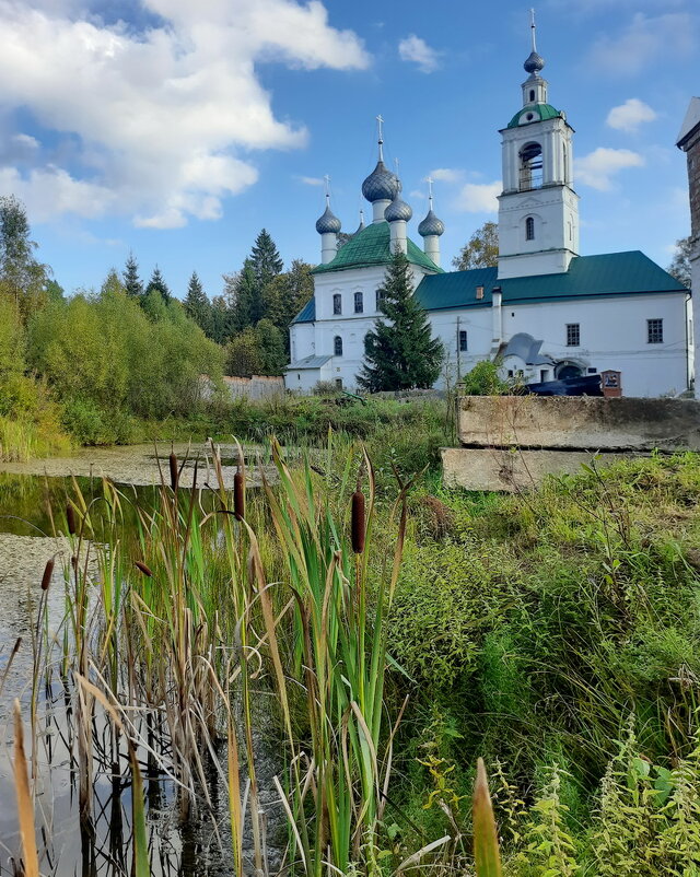 Храм на бору - Александр Чеботарь