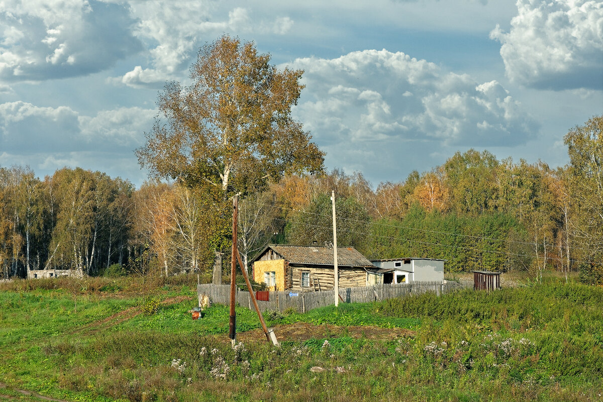 Сибирская глубинка - Дмитрий Конев