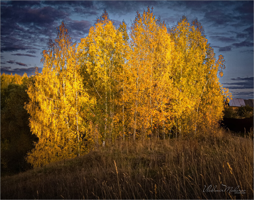 "Золотая семейка. Вместе"© - Владимир Макаров