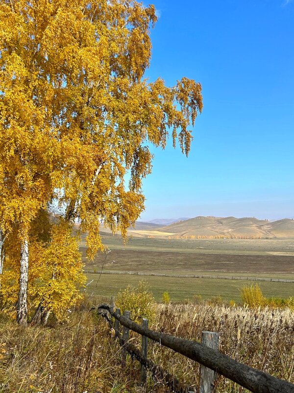 По дороге с осенью - Лариса 