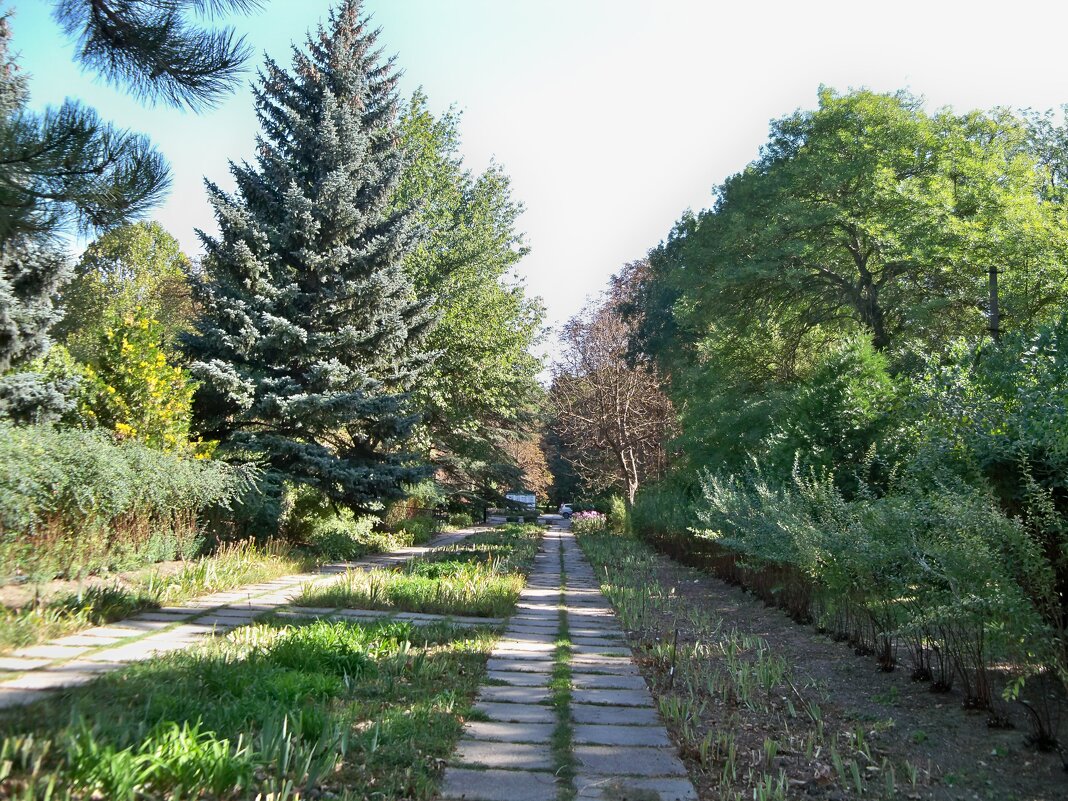 Вботаническом саду - Валентин Семчишин