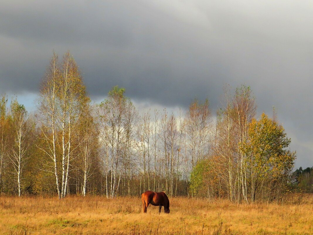 Пейзаж с лошадью - Андрей Снегерёв
