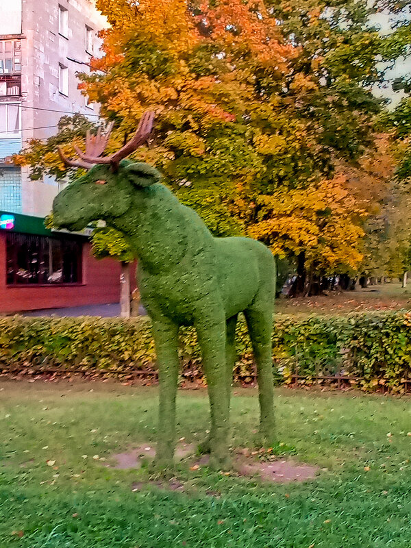 Осень в городе - Сергей Кочнев