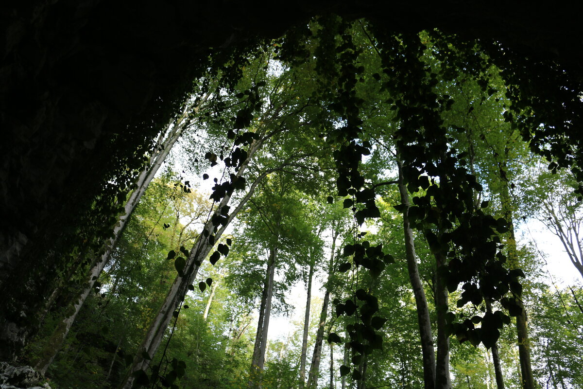 Взгляд из пещеры - Ольга 