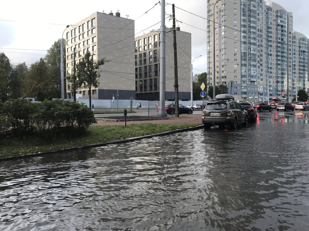 наводнение местного масштаба - zavitok *
