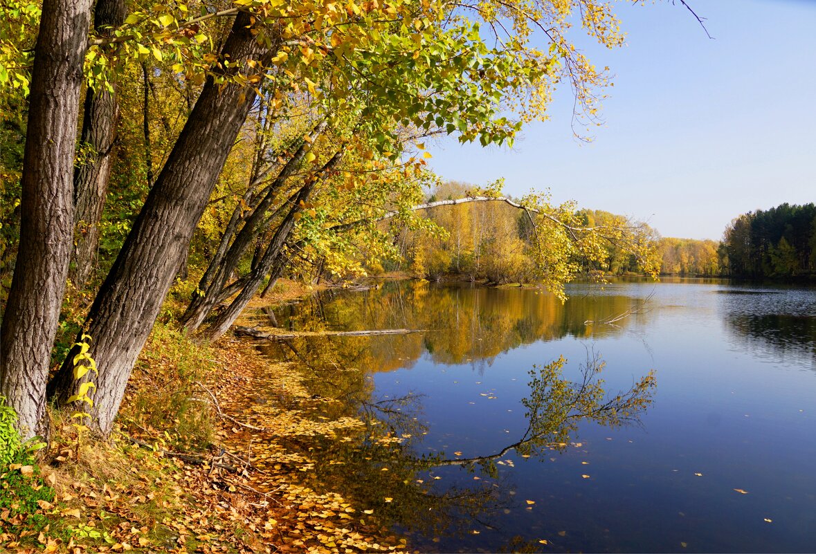 Краски осени - Наталия Григорьева