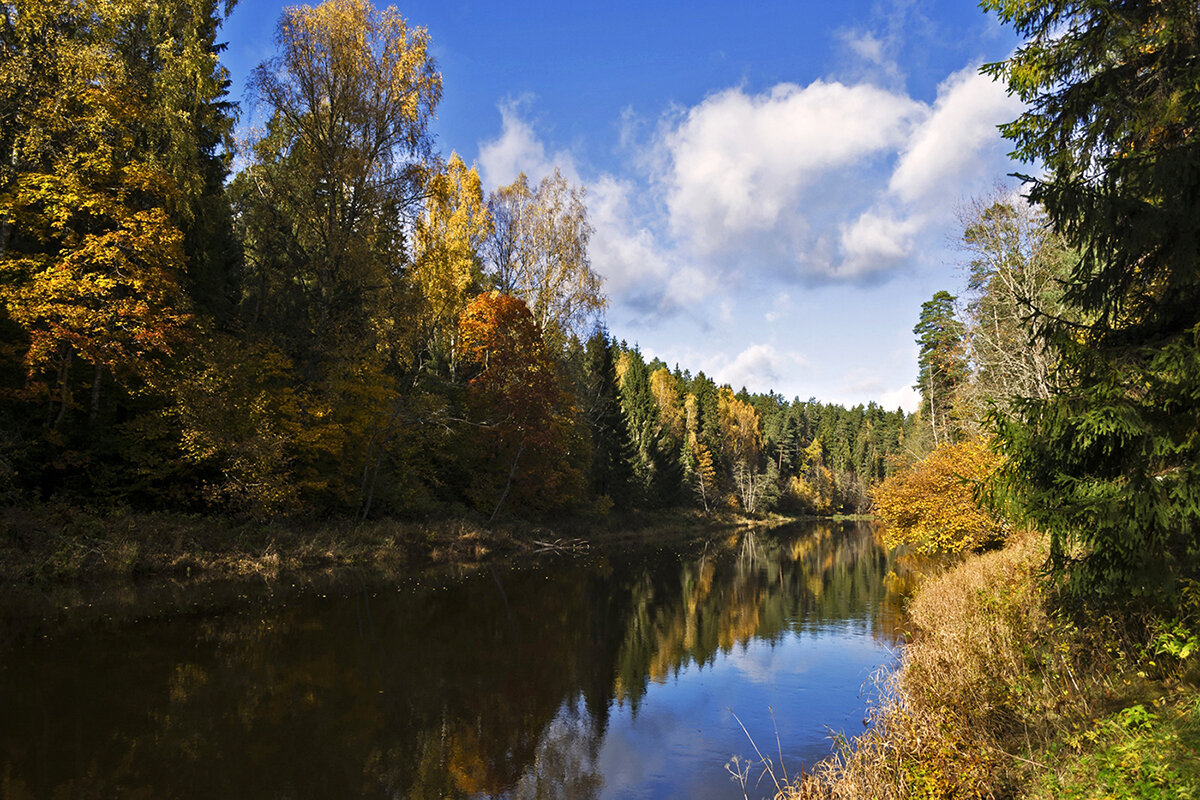 *** - Регина 