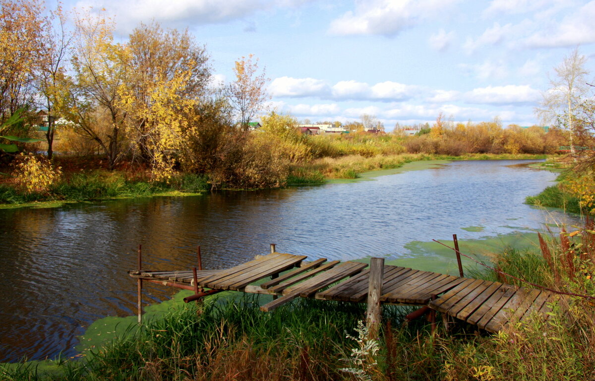 Осень у реки... - Нэля Лысенко