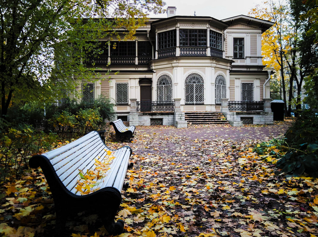 Серия "Осень в Санкт-Петербурге" - Магомед .