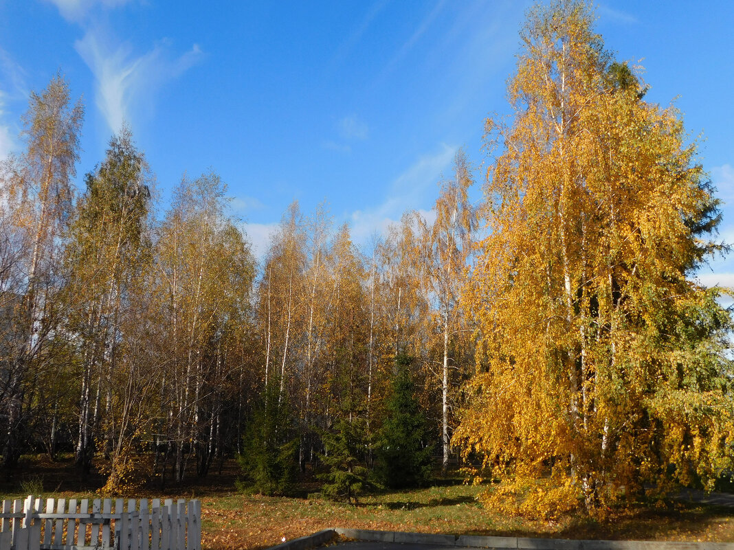 Осень в парке Горького - Наиля 