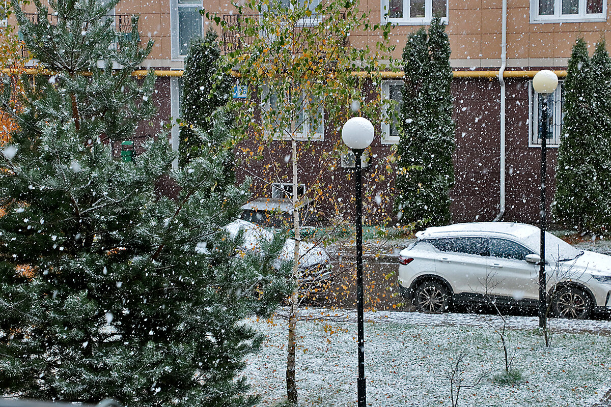 Снегопад 22 октября - Светлана 