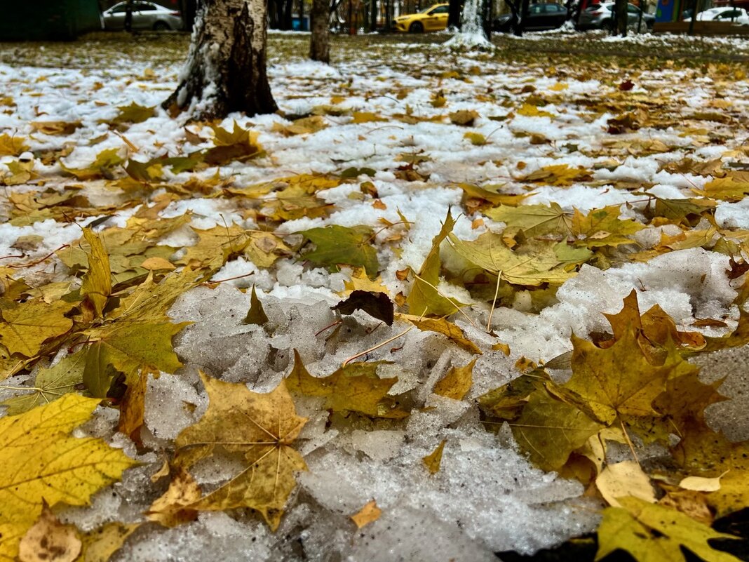 Осень VS зима - Светлана Павлова