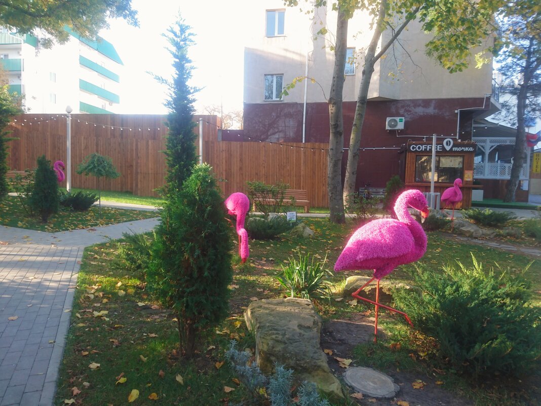 Сквер розовых фламинго - Виктор Мухин