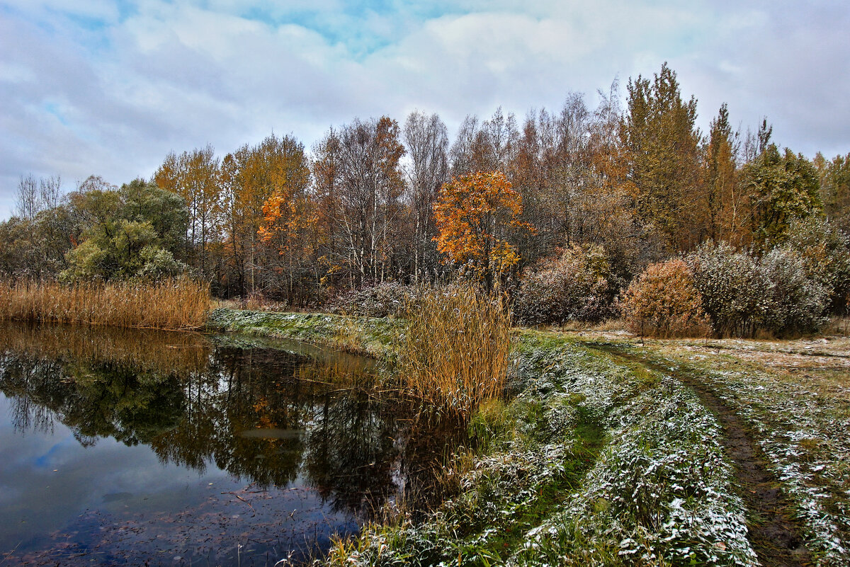 *** - Сергей Григорьев