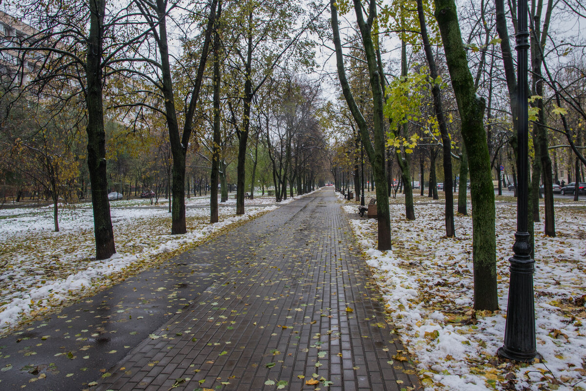 скромный бульвар - Сергей Лындин