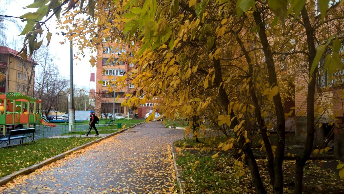 Осень в городе - Елена Семигина