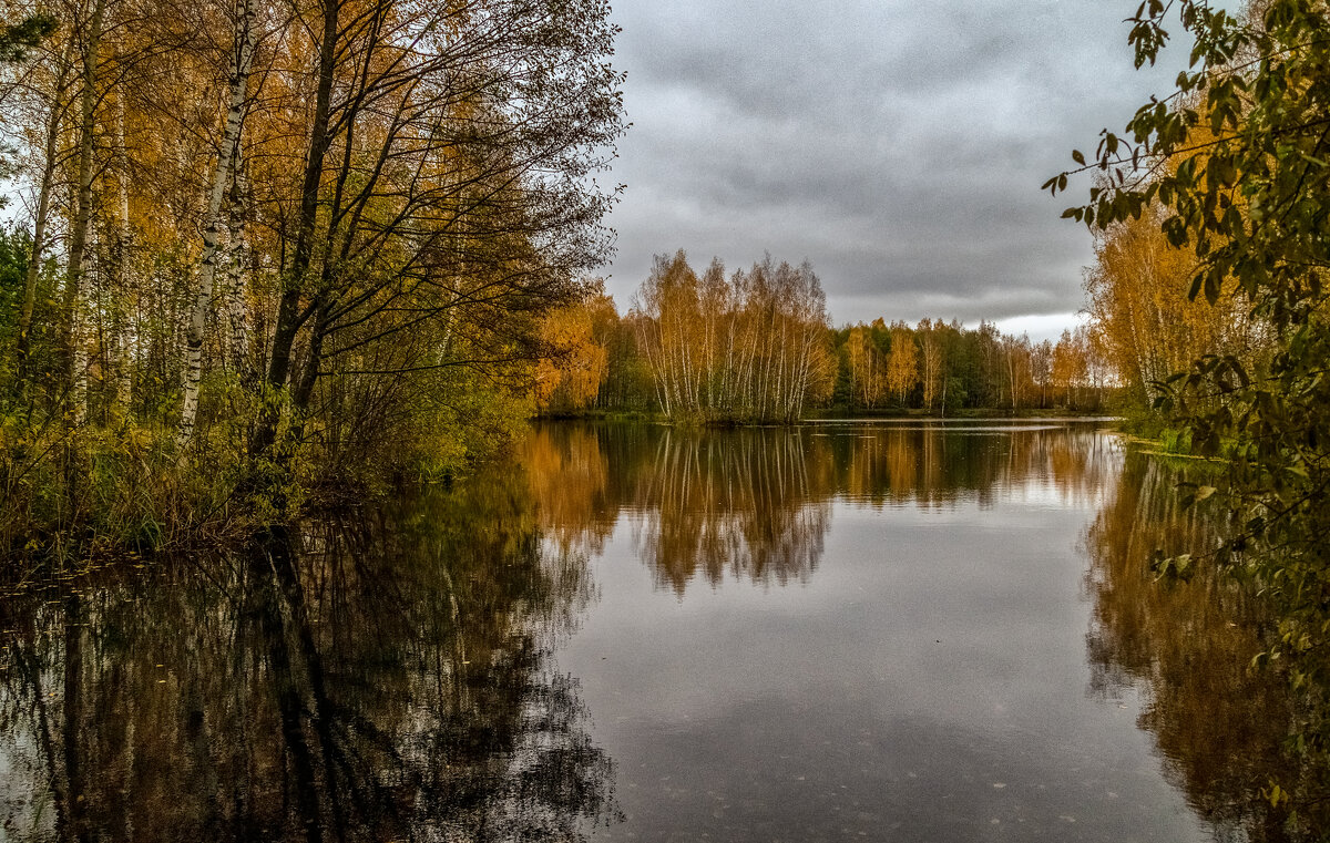 Осень, Октябрь, утро # 09 - Андрей Дворников