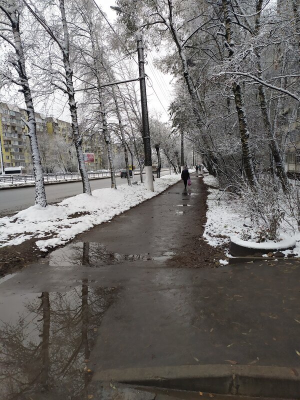 Первый снег - Владимир Никольский (vla 8137)