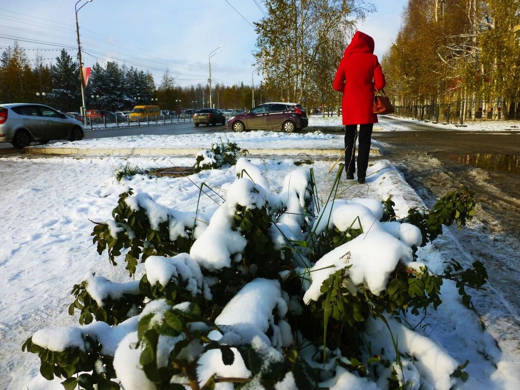 Ноябрь.. Оттепель в городе! - Владимир 