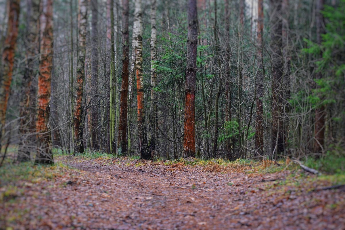 . - Владимир 