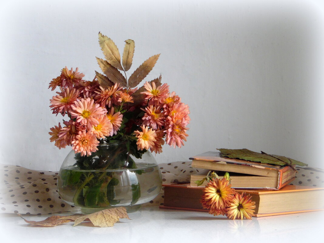 Хризантемы-осенние цветы. - nadyasilyuk Вознюк