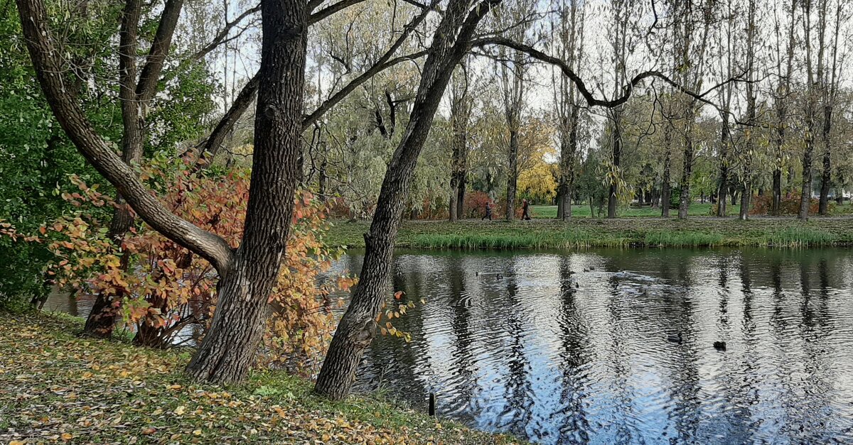 Парк Победы в октябре - Наталья Герасимова