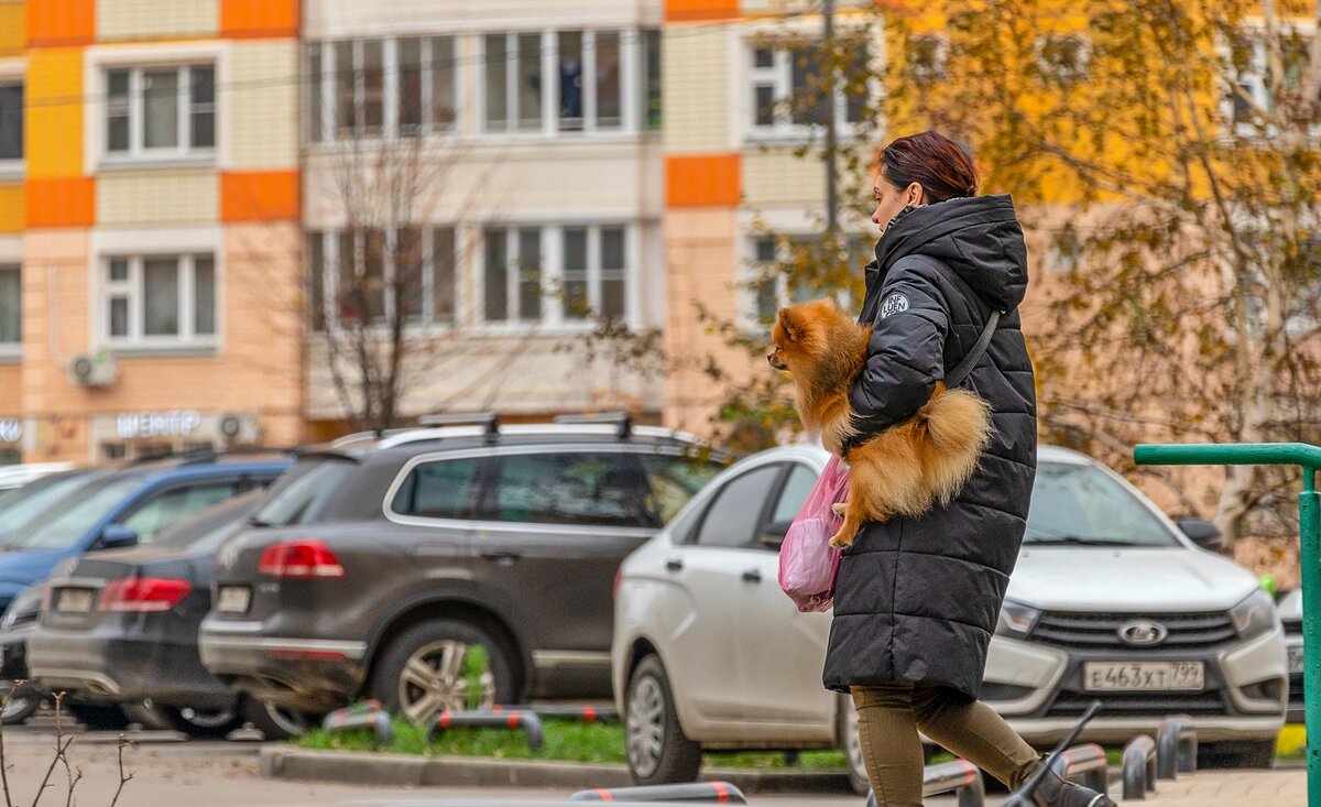 Хорошо иметь добрую хозяйку - Валерий Иванович