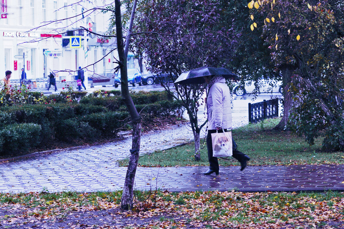 Мелкий дождик - Юрий Гайворонский
